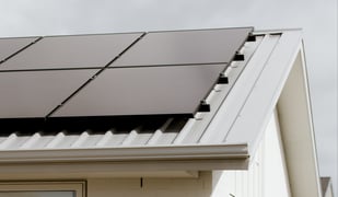 HarrisonsTV2023-8486