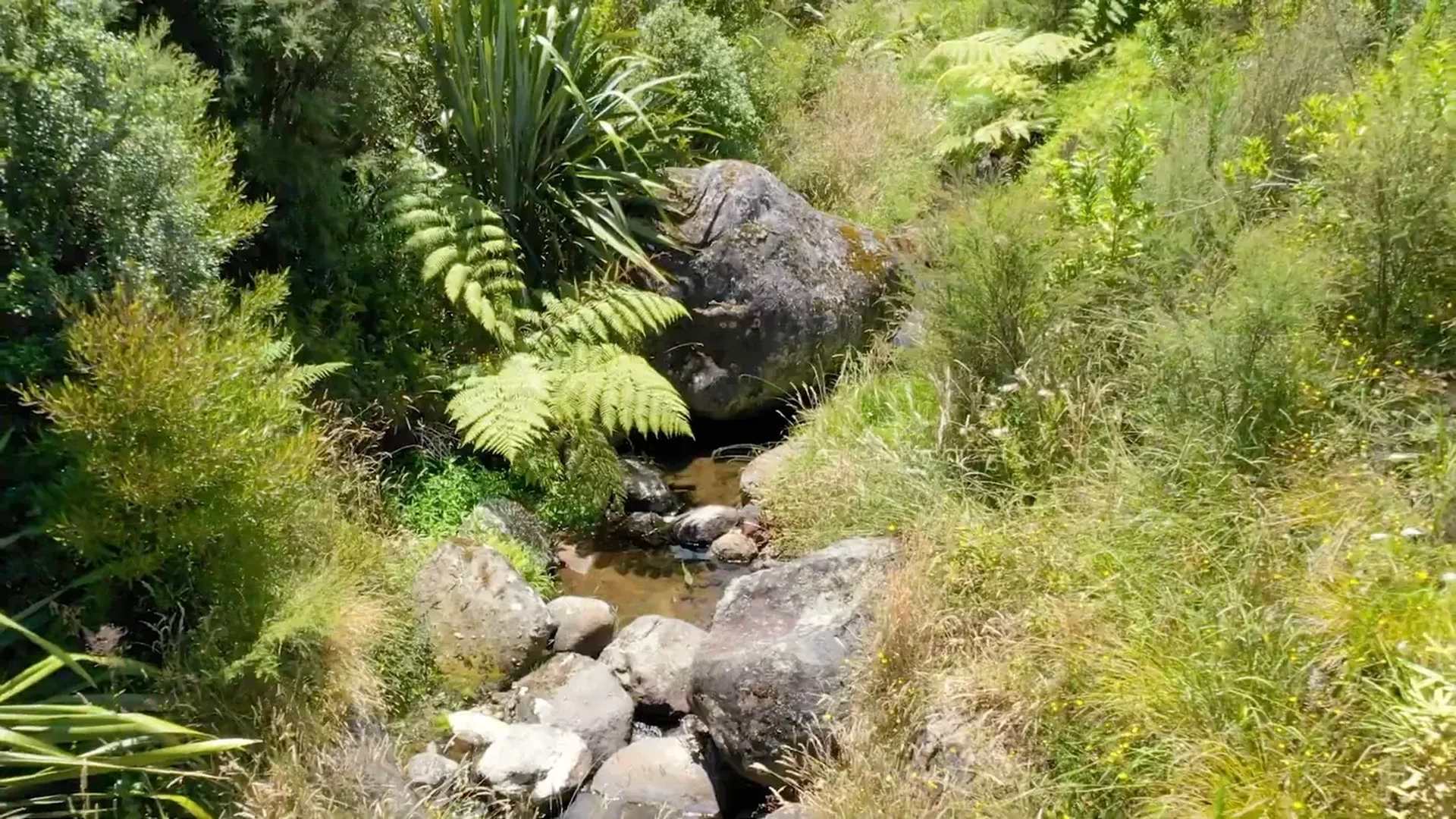 Private stream_resized 3