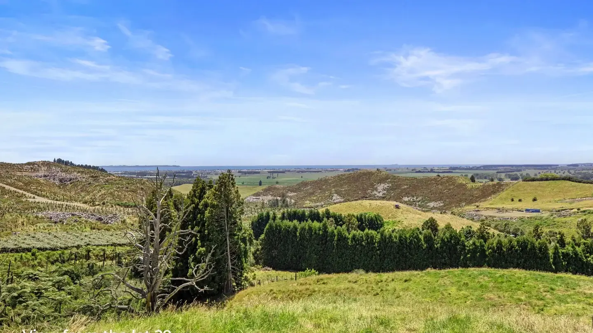 View from Lot 29 Kereru Hills_resized 2